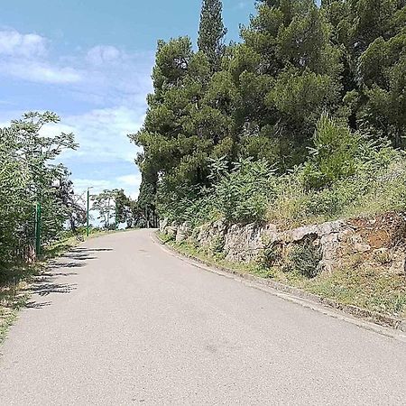 Aga Apartman Podgorica Zewnętrze zdjęcie