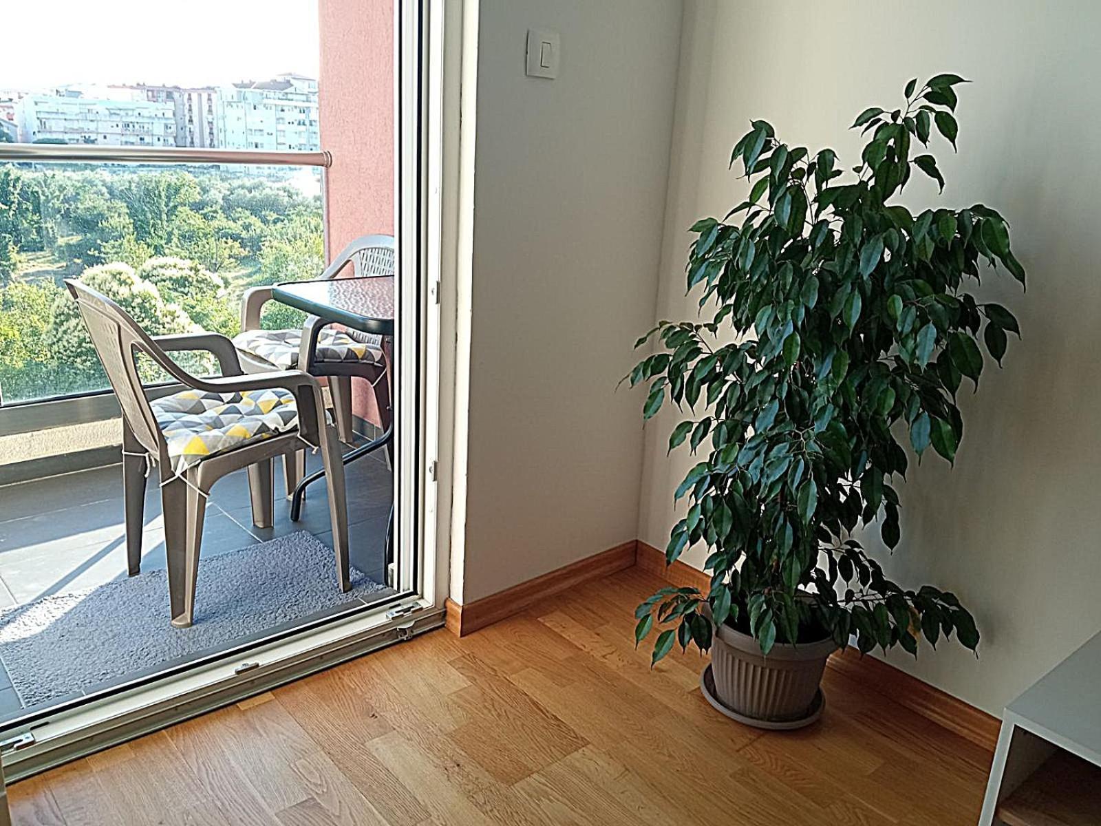 Aga Apartman Podgorica Zewnętrze zdjęcie